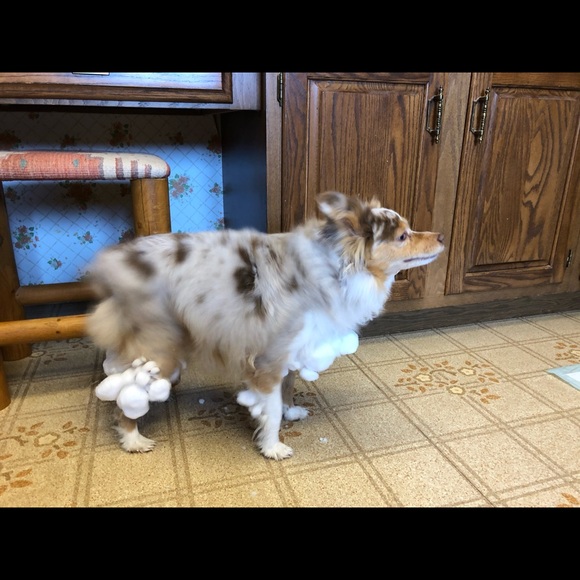 Meet your Posher, Susan - Picture 5 of 16